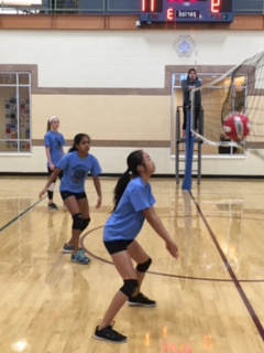 Fall CARA High School Volleyball League